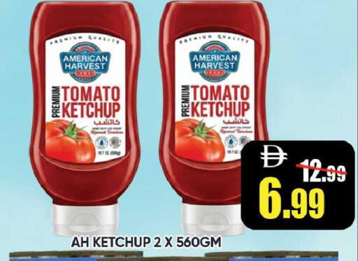 Tomato available at Leptis Hypermarket  in UAE - Ras al Khaimah