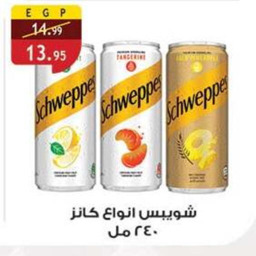 available at Al Rayah Market   in Egypt - Cairo