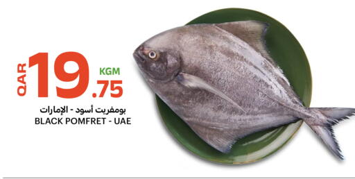 available at Al Baladi Al Yawm in Qatar - Al Rayyan