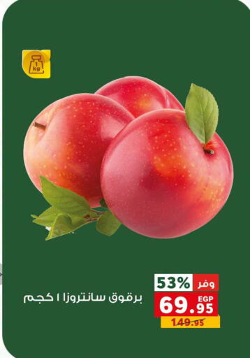 available at بنده in Egypt - القاهرة