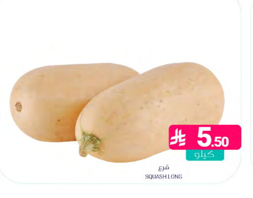 Squash available at Muntazah Markets in KSA, Saudi Arabia, Saudi - Dammam