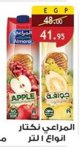 Apple available at Al Rayah Market   in Egypt - Cairo