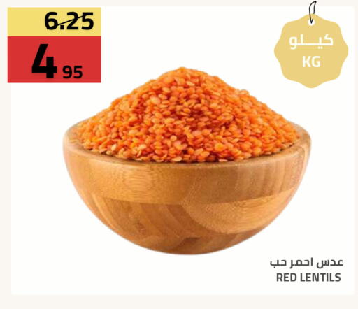 available at Astra Markets in KSA, Saudi Arabia, Saudi - Tabuk
