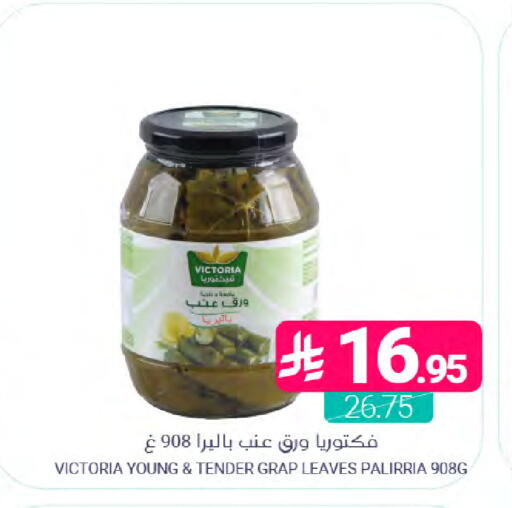 available at Muntazah Markets in KSA, Saudi Arabia, Saudi - Dammam