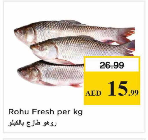 available at Nesto Hypermarket in UAE - Abu Dhabi