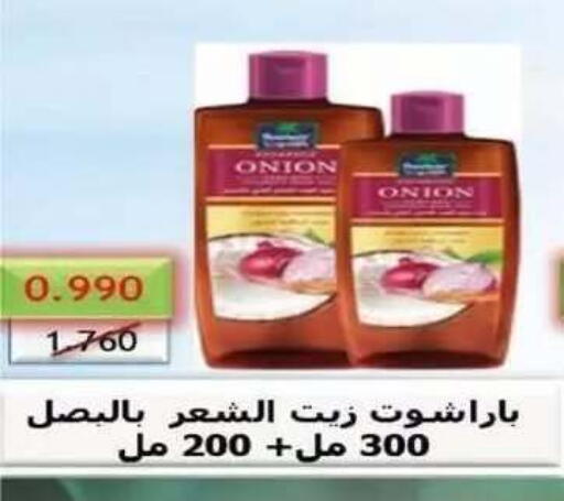 Onion available at Al Siddeeq Co-operative Association in Kuwait - Kuwait City
