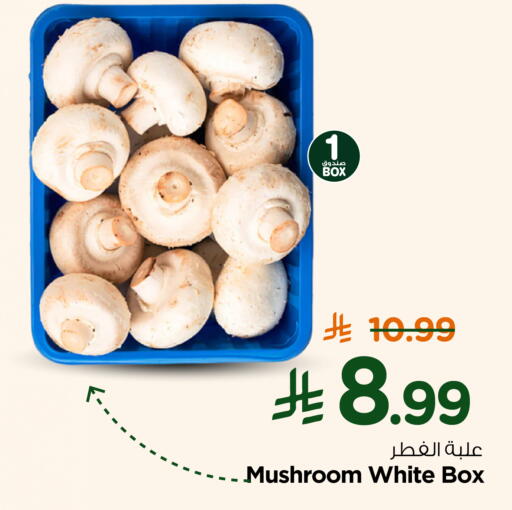 Mushroom available at Nesto in KSA, Saudi Arabia, Saudi - Al Khobar