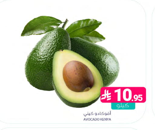 Avocado from Kenya available at Muntazah Markets in KSA, Saudi Arabia, Saudi - Dammam