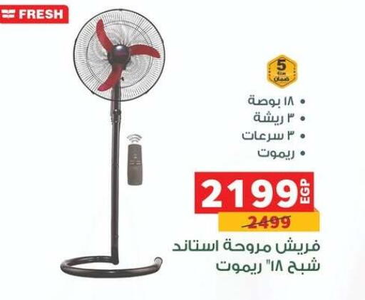 available at بنده in Egypt - القاهرة