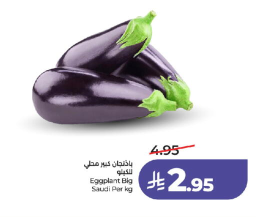 Eggplant from Saudi Arabia available at لولو هايبرماركت in مملكة العربية السعودية, السعودية, سعودية - جدة