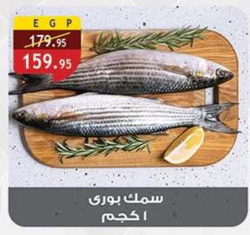 available at Al Rayah Market   in Egypt - Cairo
