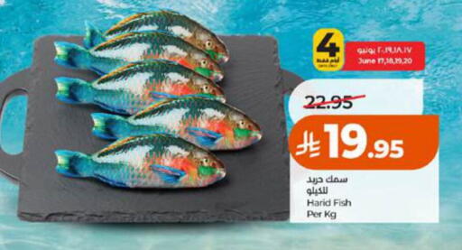 available at لولو هايبرماركت in مملكة العربية السعودية, السعودية, سعودية - تبوك