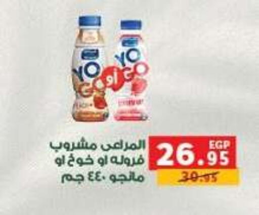available at بنده in Egypt - القاهرة