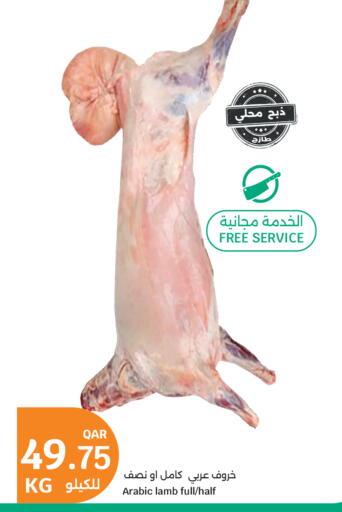 available at سيتي هايبرماركت in قطر - الضعاين