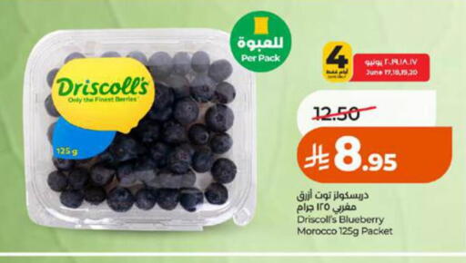 Blueberry BlueBerry from Morocco available at لولو هايبرماركت in مملكة العربية السعودية, السعودية, سعودية - الطائف