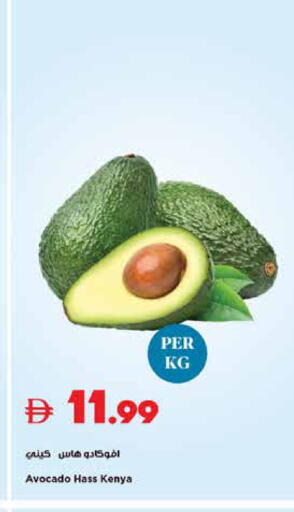 Avocado from Kenya available at تروليز سوبرماركت in الإمارات العربية المتحدة , الامارات - الشارقة / عجمان
