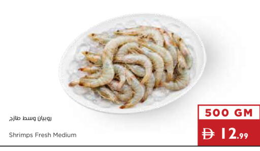 available at إسطنبول سوبرماركت in الإمارات العربية المتحدة , الامارات - الشارقة / عجمان