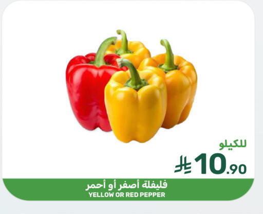 Pepper available at Mazaya in KSA, Saudi Arabia, Saudi - Dammam