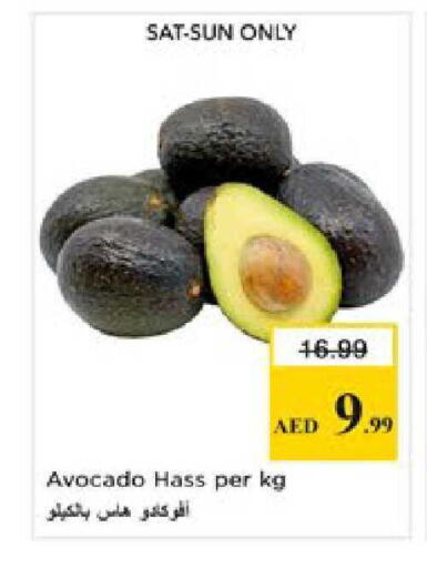 Avocado available at Nesto Hypermarket in UAE - Ras al Khaimah