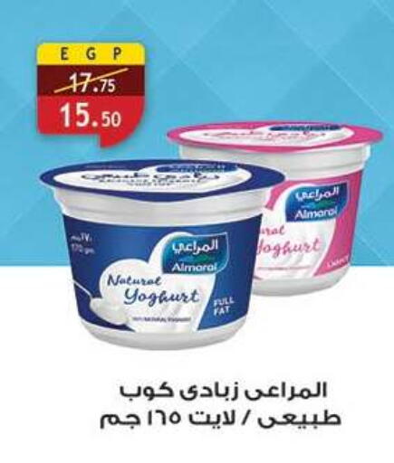 available at الرايه  ماركت in Egypt - القاهرة