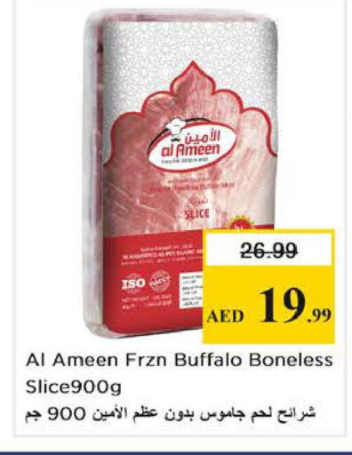 available at نستو هايبرماركت in الإمارات العربية المتحدة , الامارات - أبو ظبي