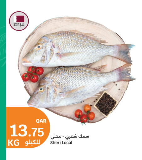 available at City Hypermarket in Qatar - Al Wakra