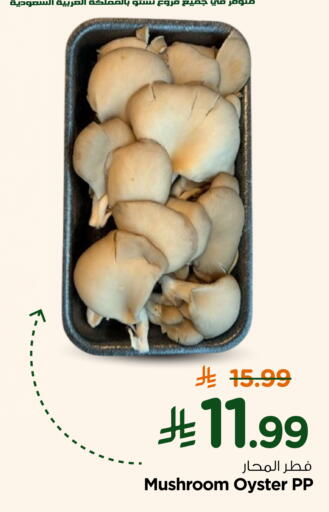 Mushroom available at Nesto in KSA, Saudi Arabia, Saudi - Al Khobar