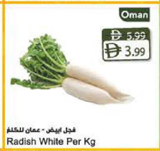 Radish from Oman available at Almaya Supermarkets in UAE - Sharjah / Ajman