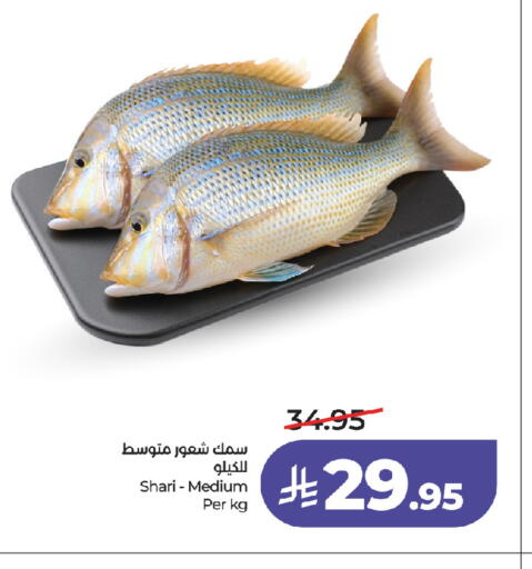available at لولو هايبرماركت in مملكة العربية السعودية, السعودية, سعودية - جدة