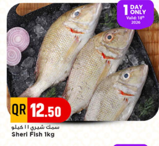 available at Marza Hypermarket in Qatar - Umm Salal
