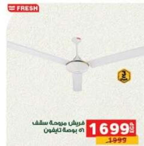 available at بنده in Egypt - القاهرة