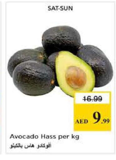 Avocado available at Nesto Hypermarket in UAE - Abu Dhabi