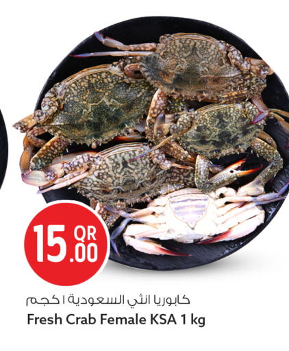 available at سفاري هايبر ماركت in قطر - الوكرة