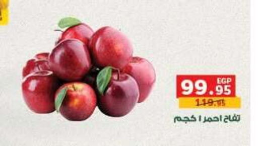 available at Panda  in Egypt - Cairo