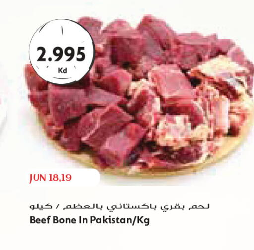 available at جراند كوستو in الكويت - مدينة الكويت