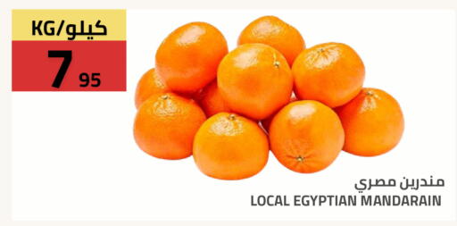from Egypt available at Astra Markets in KSA, Saudi Arabia, Saudi - Tabuk