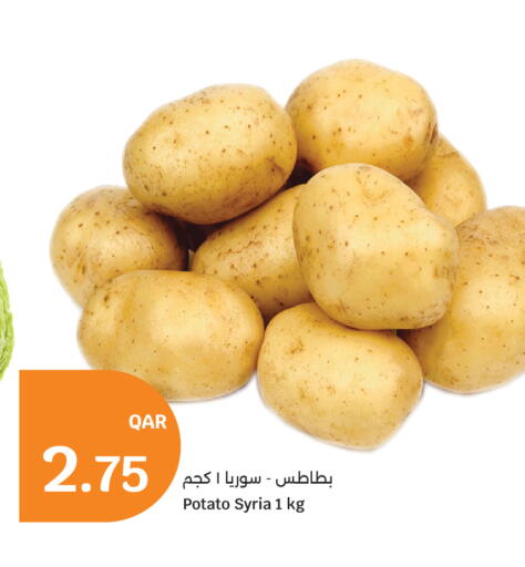 Potato from Syria available at City Hypermarket in Qatar - Al Rayyan