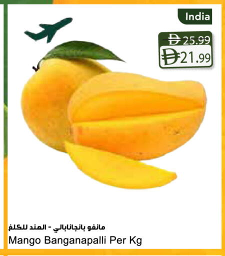 Mango from India available at Almaya Supermarkets in UAE - Dubai