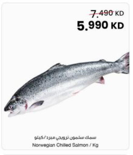 available at The Sultan Center in Kuwait - Kuwait City
