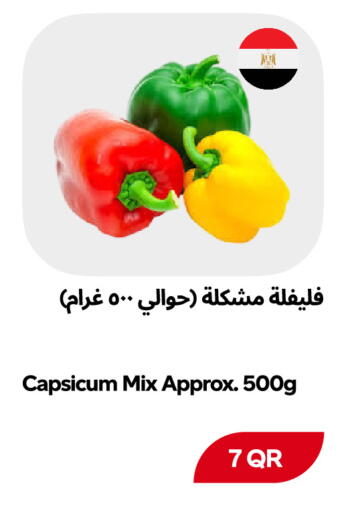 Capsicum available at Snoomart in Qatar - Al Rayyan