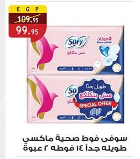 available at Al Rayah Market   in Egypt - Cairo