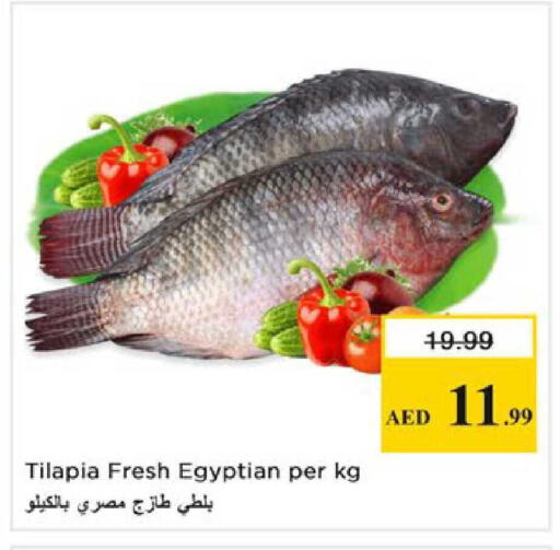 available at Nesto Hypermarket in UAE - Ras al Khaimah