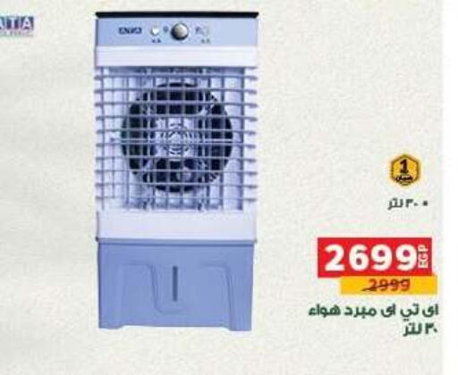 available at بنده in Egypt - القاهرة