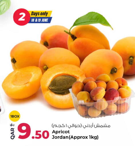 Apricot from Jordan available at Rawabi Hypermarket in Qatar - Al Wakra