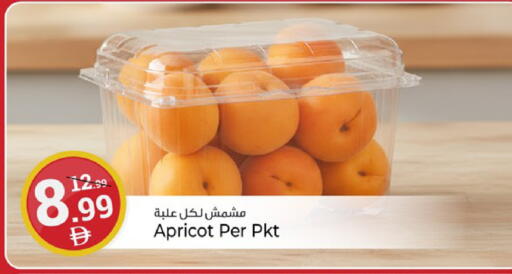 Apricot available at Kenz Hypermarket in UAE - Sharjah / Ajman