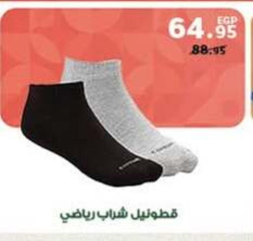 available at Panda  in Egypt - Cairo
