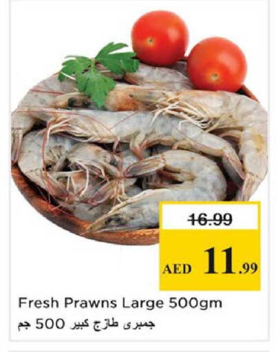 available at نستو هايبرماركت in الإمارات العربية المتحدة , الامارات - الشارقة / عجمان