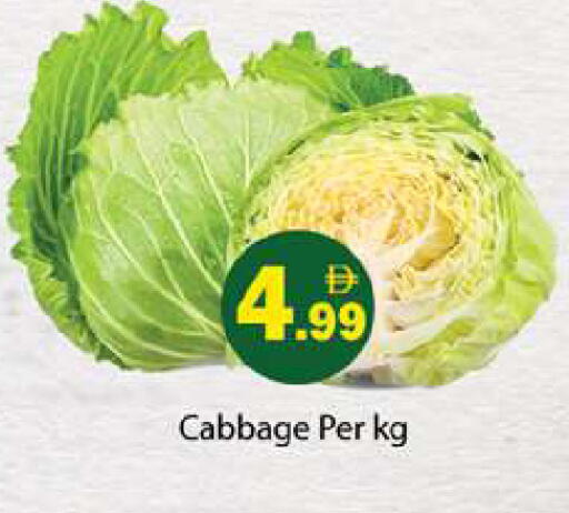 Cabbage available at Gulf Hypermarket LLC in UAE - Ras al Khaimah