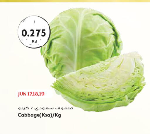 Cabbage available at Grand Hyper in Kuwait - Kuwait City