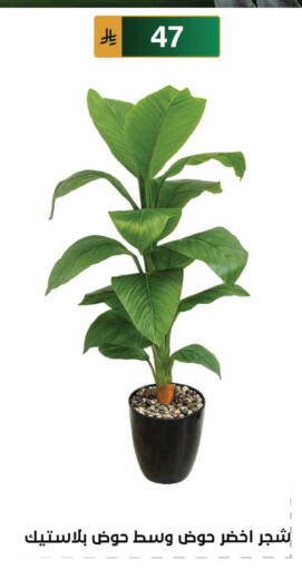 available at الحسين توب أب in مملكة العربية السعودية, السعودية, سعودية - الرياض